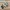 New Balance Streetwear Sportswear Sneakers Wanita multicolor photo 1