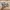 New Balance Streetwear Sportswear Sneakers Wanita multicolor photo 4