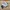 New Balance Streetwear Sportswear Sneakers Pria white photo 1