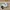 New Balance Streetwear Sportswear Sneakers Pria White