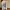 Kaos Peter Pan & The Neverland Vibes Original Licensed M & L photo 1