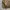 Vintage Streetwear Windbreaker Pria khaki photo 3