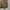 Vintage Streetwear Windbreaker Pria khaki photo 2