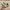 New Balance Streetwear Sportswear Sneakers Wanita multicolor photo 4