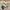 New Balance Streetwear Sportswear Sneakers Wanita Multicolor