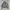Kushitani Motor Jacket photo 1