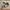 Asics Streetwear Sportswear Sneakers Pria white black photo 4