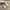 Asics Streetwear Sportswear Sneakers Pria white black photo 6
