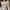 Oneset  photo 2
