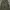Cargo baggy  photo 5