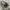Vintage Casual Handbag Wanita white black photo 2