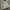 furla agata small khaki photo 4