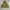 Vintage Club Flight Jacket photo 1
