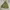 Unknown Flight Jacket photo 2
