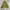 Unknown Flight Jacket photo 4