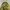 Unknown Flight Jacket photo 6