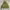 Unknown Flight Jacket photo 1