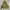 Unknown Flight Jacket