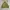 Unknown Flight Jacket photo 3