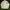 Jaket MLB Yankes wind breaker photo 1