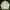 Jaket MLB Yankes Wind Breaker