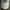 Nike Streetwear Hat Pria white photo 4