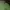 Distnine oversize photo 2