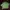 Distnine oversize photo 1