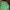 Distnine oversize photo 4