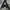 Hoodie Air Jordan Zion Fleece Pullover photo 3