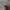 Oakley Gorpcore Short Pria tan gray photo 3