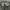 Oakley Gorpcore Short Pria cream tan photo 4
