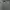 Oakley Gorpcore Short Pria cream photo 3