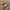 Adidas Handball Spezial Core Green photo 1