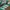 Adidas Handball Spezial Core Green photo 2