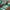 Adidas Handball Spezial Core Green