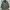 LL Bean chore Jacket army Corduroy (3A-26) photo 1