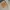 Levi’s Sherpa Corduroy Trucker Jacket (3A-60) photo 7