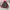 Vintage 90s The North Face Goretex Jacket  photo 5