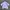 Nike Streetwear Sportswear Jersey Pria White