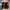 Nike Airmax TN Plus Triple Black photo 5
