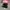 Nike Airmax TN Plus Triple Black photo 1