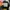 Nike Airmax TN Plus Triple Black photo 8