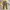 Corduroy pants style photo 2