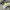 The North Face Hyvent Yellow Jacket  photo 5