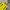 The North Face Hyvent Yellow Jacket  photo 3