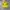 The North Face Hyvent Yellow Jacket  photo 1