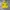 The North Face Hyvent Yellow Jacket 
