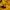 PANCOAT  photo 7