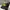 Topi trucker official minecraft photo 1